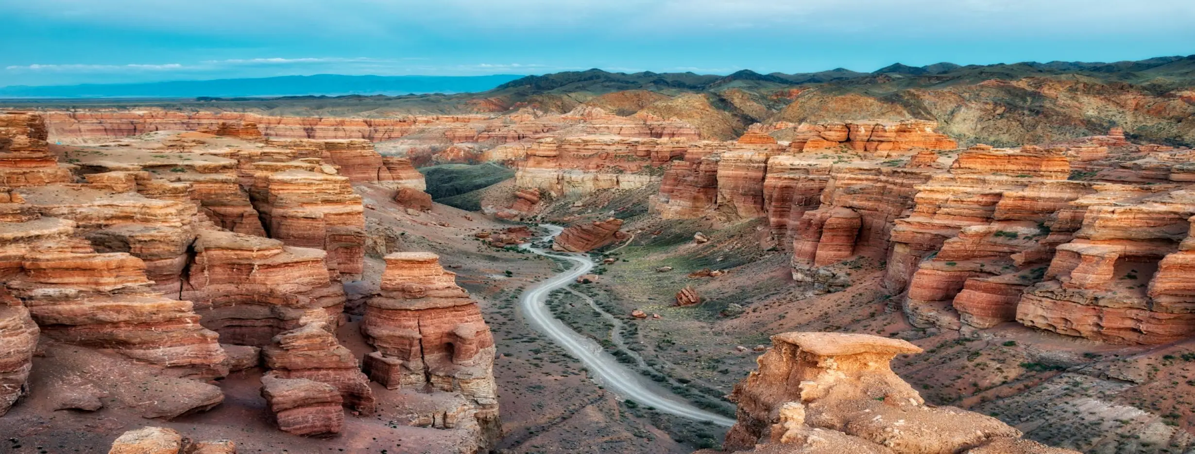 Image for Natures Playground